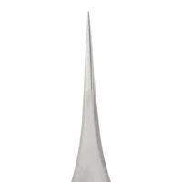 Kép 3/6 - Staleks podo csipesz | TP-10