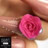 Lélegzetelállító 3D rózsa Pearl Nails Plastiline színes zseléből
